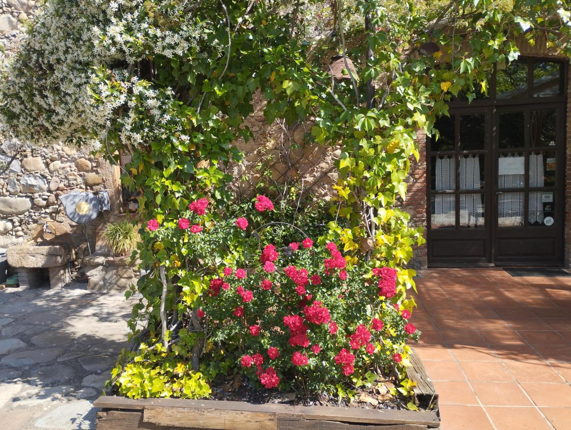Casa Rural Can Jepet La Cellera de Ter 외부 사진